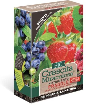 Blumen CONCIME GRANULARE PER FRAGOLE, MIRTILLI, FRUTTI DI BOSCO CRESCITA MIRACOLOSA BIO 450G