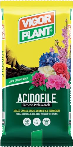 VIGORPLANT ACIDA 20