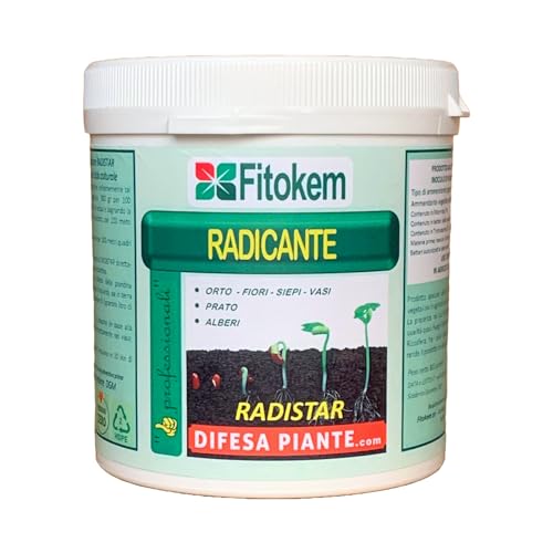 Fitokem RADISTAR 400 GR RADICANTE MICORRIZE BIO Stimola la produzione e la crescita naturale di radici   radicante in polvere vasi fiori orto (400 GR)