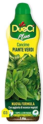 DUECI CONCIME Piante Verdi 1 kg