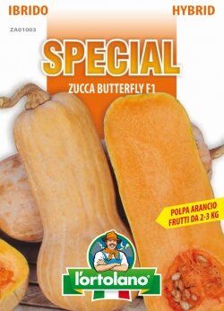 L'ORTOLANO Sementi di ortaggi ibride e selezioni speciali ad uso amatoriale in buste termosaldate (80 varietà) (ZUCCA BUTTERFLY F1)