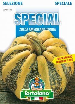 L'ORTOLANO Sementi di ortaggi ibride e selezioni speciali ad uso amatoriale in buste termosaldate (80 varietà) (ZUCCA AMERICANA TONDA)