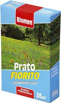 Blumen SEMI PRATO FIORITO GIAPPONESE NANO CONFEZIONE DA 500GR