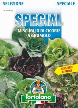 L'ORTOLANO Sementi di ortaggi ibride e selezioni speciali ad uso amatoriale in buste termosaldate (80 varietà) (MISCUGLIO DI CICORIE A GRUMOLO)