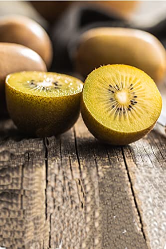 eGarden.store Pianta di Kiwi Giallo Albero di Kiwi varietà Actinidia Deliciosa Golden Femmina pianta di Kiwi in vaso pianta da frutto pianta vera di Kiwi Giallo venduta da