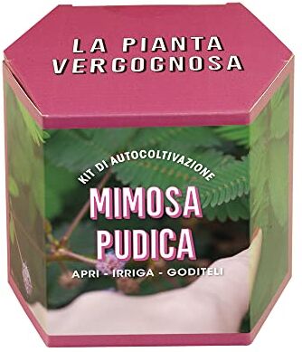 Resetea Mimosa pudica, La pianta vergognosa