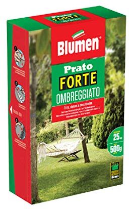 Blumen Prato Forte OMBREGGIATO 500 gr, Verde