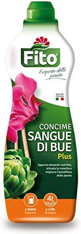 Fito SANGUE DI BUE