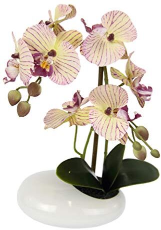 Flair Flower Schale Orchidea in Ciotola, Rosa Chiaro, 30x25x13 cm