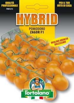 Generic Sementi ibride e selezioni speciali di alta qualità per la produzione di ortaggi nell'orto di famiglia (POMODORO ZAGOR F.1, TRE BUSTE)