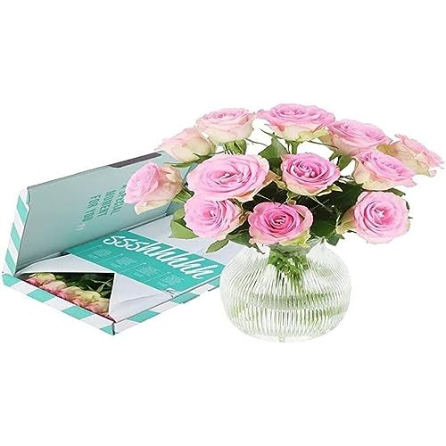 BloomPost Rose Rosa Confezione Regalo Fiori Freschi Consegnati Bouquet Perfetto per Compleanni e Regali di Ringraziamento Consegna Gratuita
