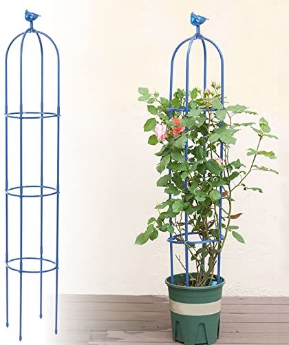 Kalolary Traliccio da Giardino Alto 6 Piedi Piante Rampicanti Traliccio Obelisco Torre Supporto Arrampicata Metallo Antiruggine Piante Vaso Interni Fiori all'aperto Frutta Verdura Supporto Viti (Blu)