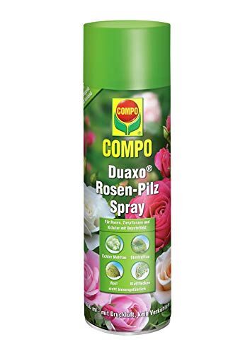 Compo Duaxo Spray per la lotta contro le malattie fungine di rose, piante ornamentali ed erbe, pronto all'uso, 400 ml