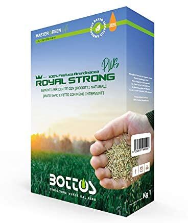 Bottos Semi per Prato Royal Strong Plus 1 Kg Sementi Conciate 100% Festuca Arundinacea Tappeto Erboso