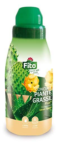 Fito CONCIME Piante GRASSE, Verde