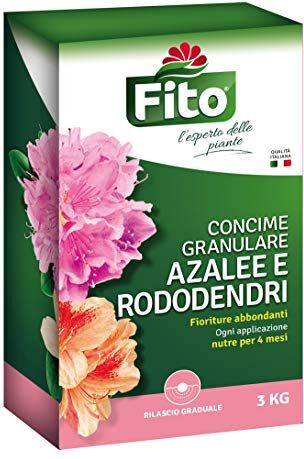 Fito Azalee RODODENDRI GRANULARE