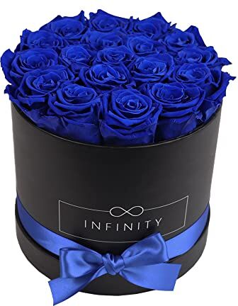 Infinity Grande – 18 rose di alta qualità blu – durata 3 anni senza innaffiare