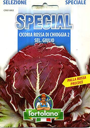 L'ORTOLANO Sementi di ortaggi ibride e selezioni speciali ad uso amatoriale in buste termosaldate (80 varietà) (CICORIA ROSSA DI CHIOGGIA 2 SEL. GIULIO (PRECOCE))