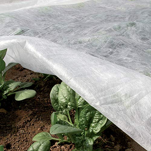 TENAX Ortoclima Plus 2,00x20 m Bianco, in Rotolo, Velo Protettivo Antigelo Invernale per Piante, in TNT Tessuto Non Tessuto 30 g/m², Protegge Piante, Fiori e Ortaggi da Freddo, Gelo e Vento