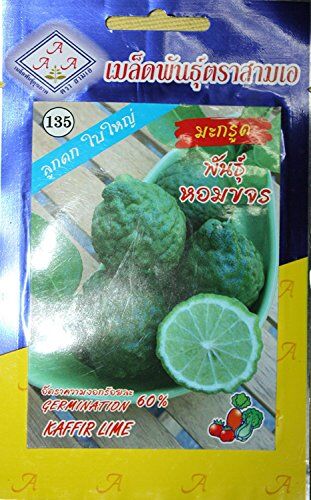 Astonish 15seeds Thai Kaffir Lime, Citrus Hystrix, Bai Magrood, Leech Lime semi di 3A