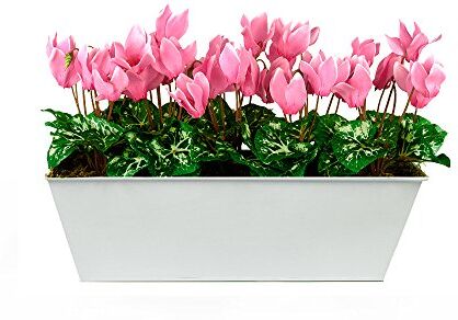 GreenBrokers Limited Artificiale Rosa Ciclamino Window Box, Bianco Metallo fioriera Contenitore 45 cm