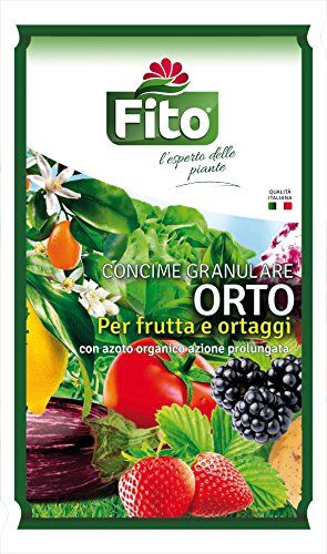 Fito ORTO