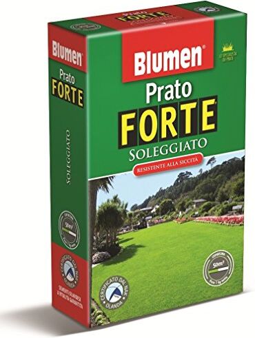 Blumen PRATO FORTE SOLEGGIATO SCATOLA KG 1