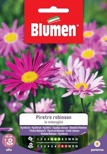 Blumen SEMI PIRETRO ROBINSON MIX