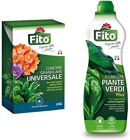 Fito Universale LENTA CESSIONE & Concime piante verdi plus