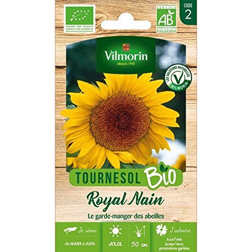 Vilmorin Girasole Royal Dwarf Organic Vl 2 giallo