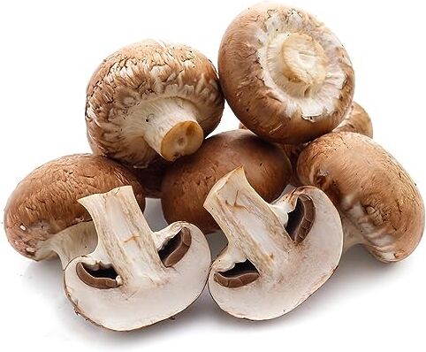 Generic 200 Pz Funghi Carini Per Coltivare Te Stesso Funghi Shitake Coltivazione Di Piante Esotiche Funghi Perenni Resistenti Coltivazione Di Semi Esotici Verdure Invernali Piante Resistenti Per Sem