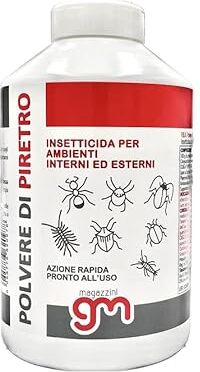 Magazzini GM Polvere di PIRETRO, Insetticida Naturale Polvere di Piretro, Azione Rapida, Basso Tossicità per Uomo e Animali, per Interni ed Esterni, Contro Formiche Scarafaggi Pulci, 250g