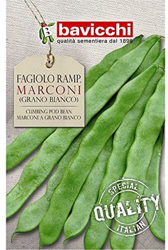 Bavicchi semi fagiolo rampicante marconi 500g grano bianco