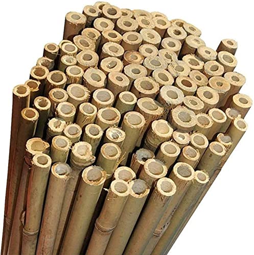 acquaverde Canne di Bambù Naturali Aste 210 Cm per Sostegni Tutore Piante Alberi Ortaggi Orto Pali Arredamento (10)