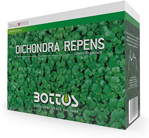 Bottos DICONDRA REPENS, Semi di Dichondra, Tappeto Erboso a Bassa Manutenzione, Alta Densità, Ideale per Giardini e Parchi, Dosaggio 10-20 g/m², 1Kg