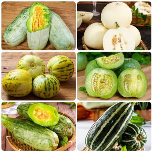 Generic 200 Pezzi Di Semi Di Melone Semi Di Bonsai, Piante In Vaso All'Ester, Semi Di Melone Resistenti, Cucumis Melo, Alberi Da Frutto, Acquistare Regali Per Gli Amanti Del Giardi, Alberi Da