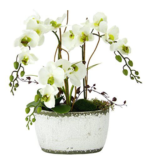 Flair Flower Phalaenopsis in Ciotola, Poliestere, plastica, Ceramica, 16 x 45 x 57 cm, Bianco/Verde, 16 x 45 x 57 cm