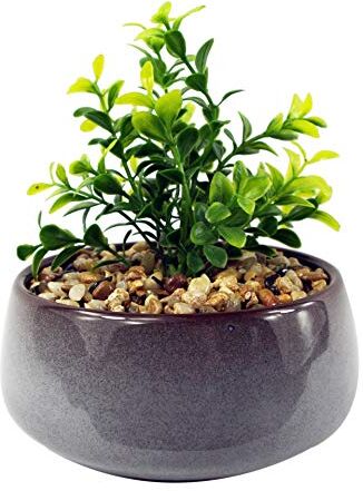 Leaf Pianta da scrivania in ceramica blu per ufficio, Crassula artificiale, 16 cm