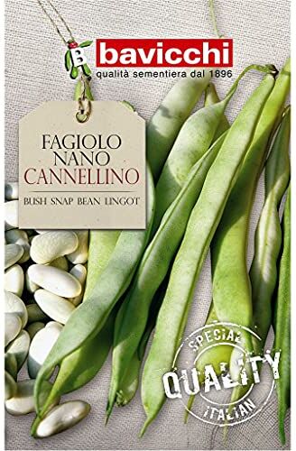 Bavicchi semi fagiolo nano cannellino 250g