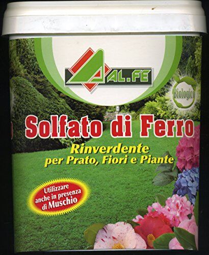 ZAPI solfato di ferro rinverdente e antimuschio per prato fiori piante da 5 kg