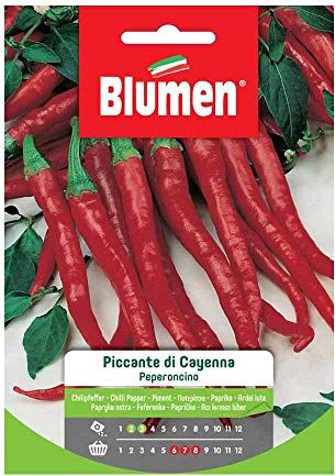 Blumen SEMI PEPERONCINO CAYENNA