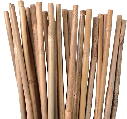 Suinga Pack 50 x Tutor in bambù 100 cm, diametro 8-10 mm. Tutori per piante, bastoncini di bambù naturali ecologici. Canna di bambù Uso agricolo per contenere alberi, piante e ortaggi