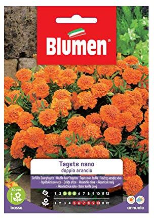 Blumen SEMI TAGETE NANO DOPPIO ARANCIO  SEMENTI FIORI