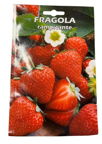 acquaverde Semi Sementi Fragola Rampicante Perenne 10 Gr da 80-160 Cm Giardino Giardinaggio