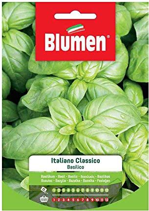 Blumen SEMI BASILICO ITALIANO CLASSICO GENOVESE  SEMENTI ORTO