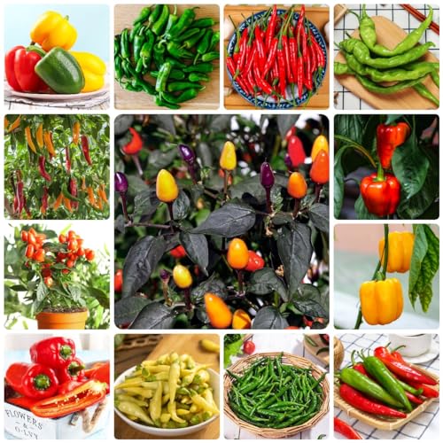 Generic Mix Di Semi Di Peperonci Da 300 Pezzi Capsicum Annuum Piante In Vaso Resistenti, Semi Di Erbe Selvatiche, Semi Di Jalape, Semi Di Pepe Biologico, Regali Sostenibili, Semi Di Bonsai,