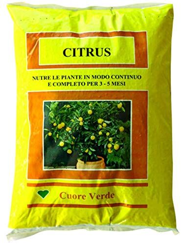 Vialca CONCIME SPECIFICO PER LIMONI AGRUMI E ARANCI CITRUS 5KG CON SEQUESTRENE A LENTA CESSIONE QUESTO PRODOTTO E' DISCIPLIANTO DAL REGOLAMENTO (UE)