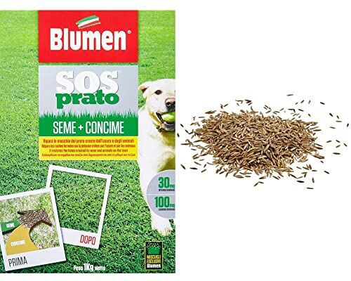 Blumen Prato SOS Mix 2 in 1, Verde & Sementi Batlle Prato rustico e decorativo