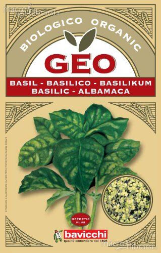 Bavicchi Semi germinado Basilico,  Geo, 5 g