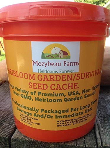 Astonish Pacchetto semi: 300.000 Giardino/Surviv Seed Cache! Premium non-OGM, USA Seeds. !
